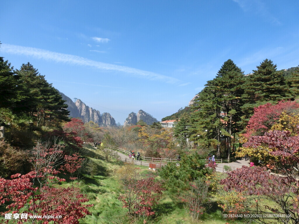 山间多彩秋景