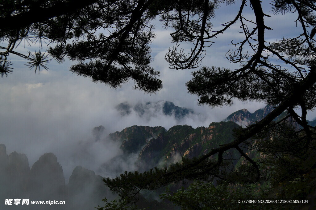 云雾缭绕中的山林景致