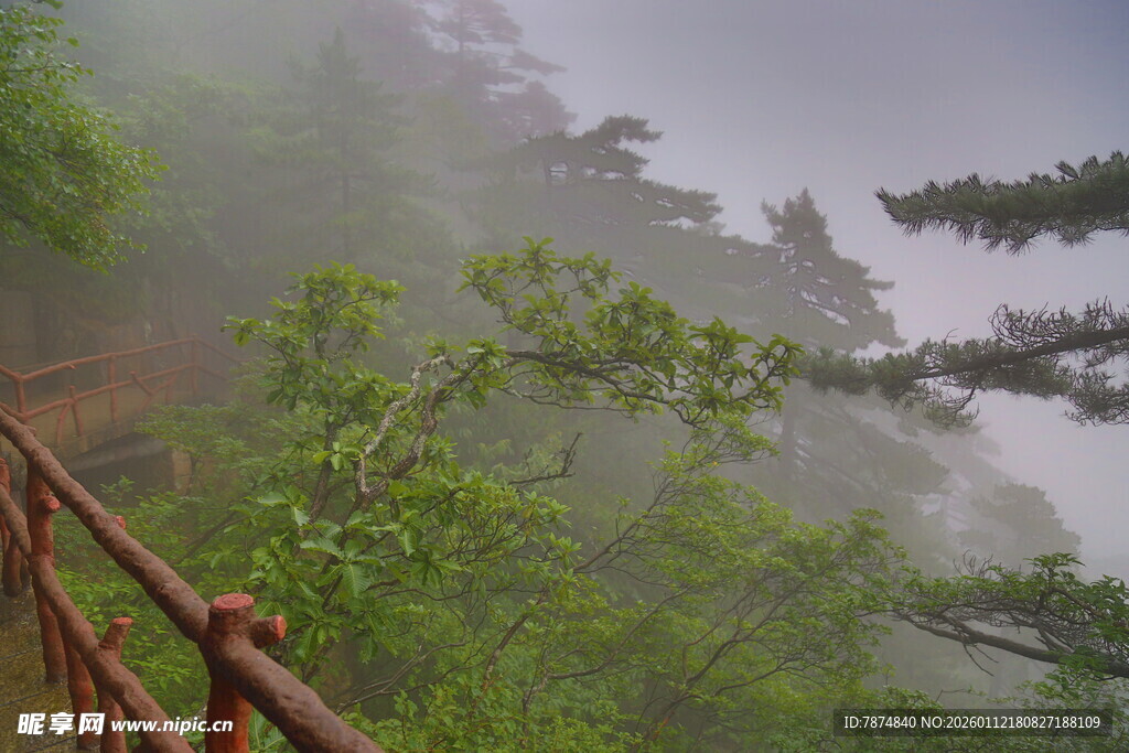 山间雾中栈道与葱郁林木