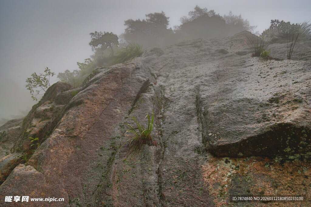 雾中险峻山石景观