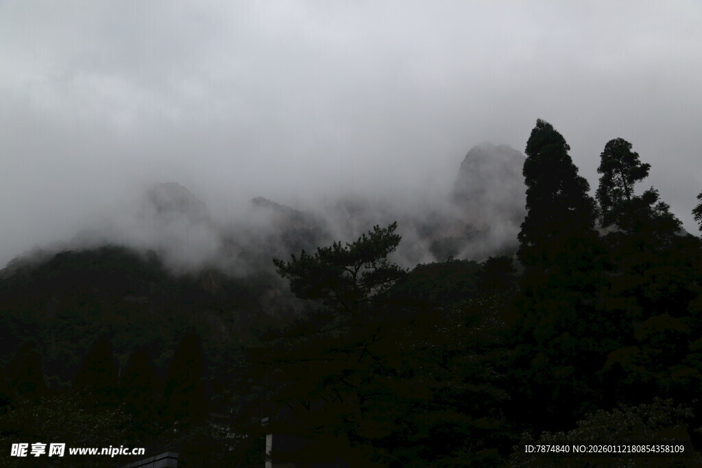 云雾缭绕的山林景色