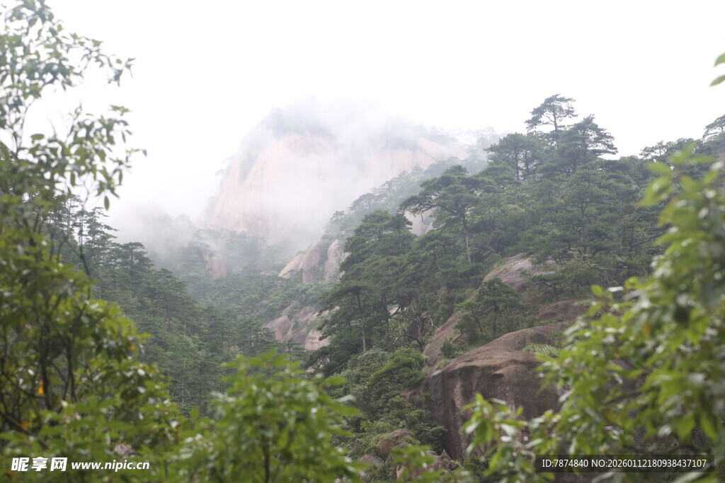 云雾缭绕的山林美景