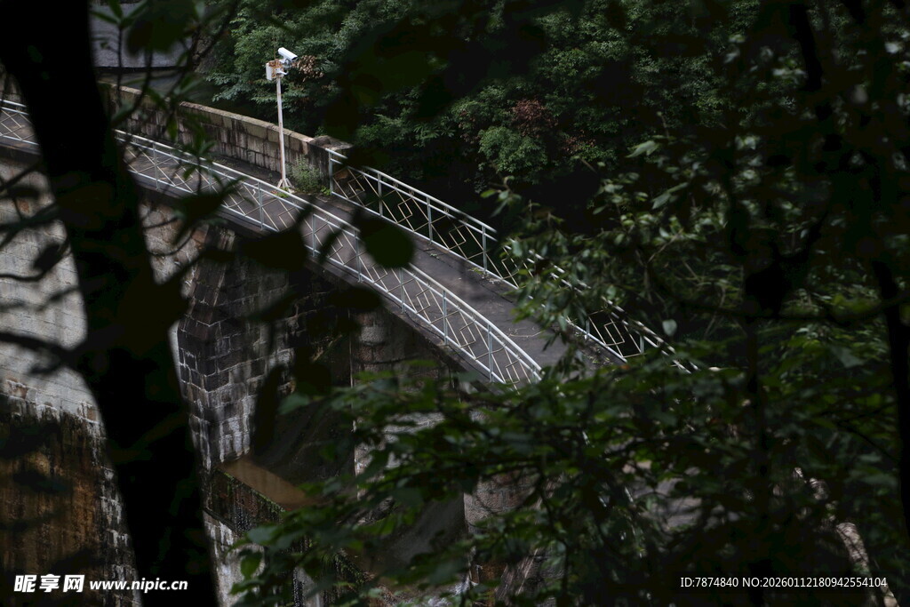 森林中的古朴木质吊桥