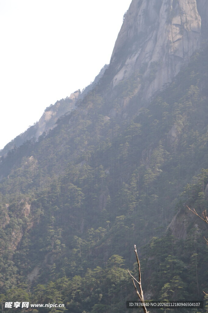 巍峨山峦覆绿植