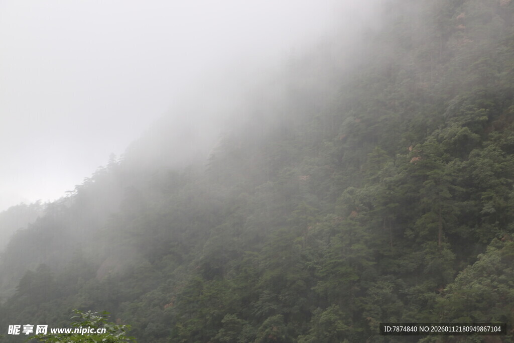 云雾缭绕的翠绿山峦