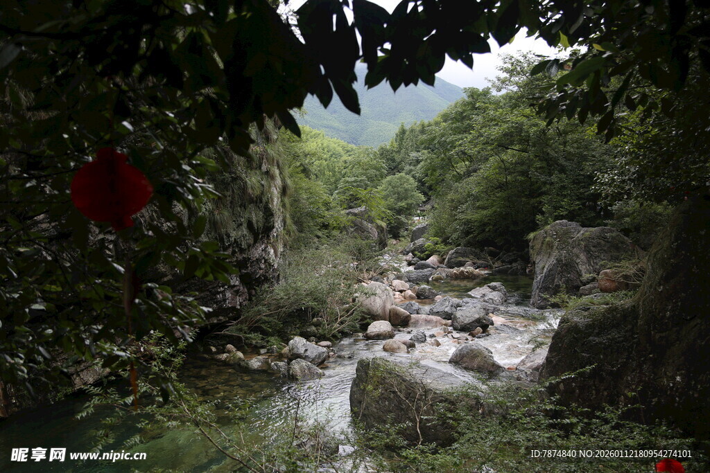 山间溪流 绿意盎然之景