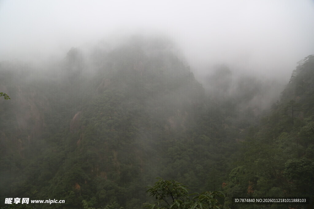 云雾缭绕的山林景观