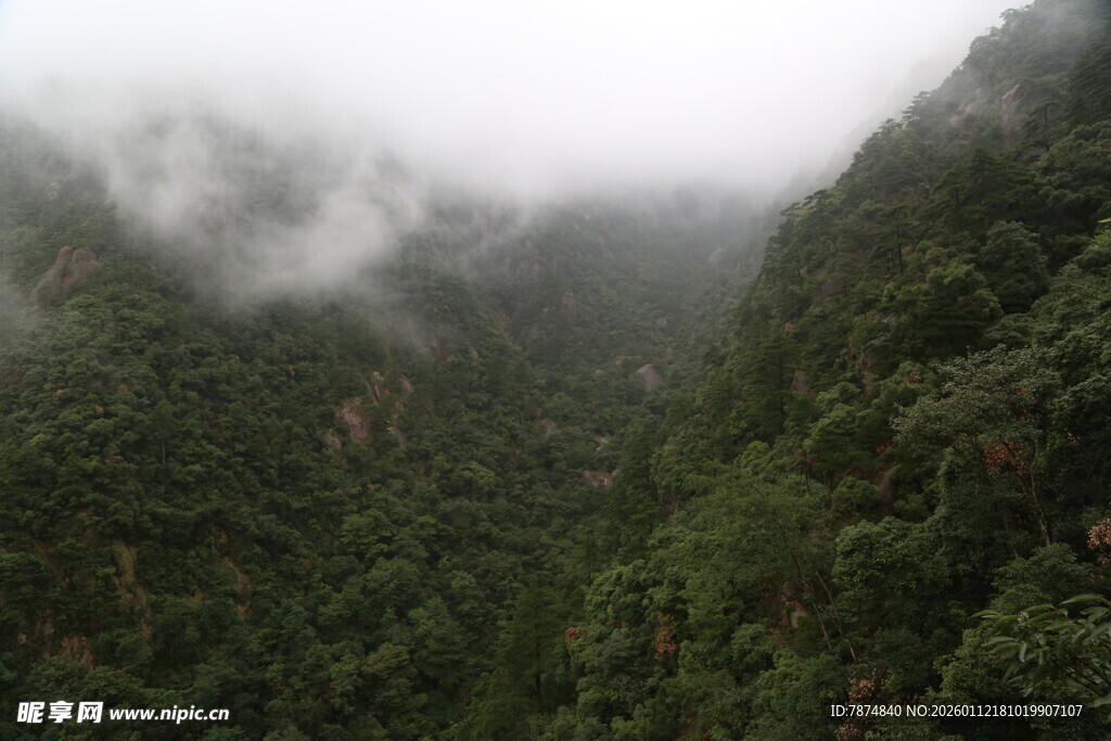 云雾缭绕的葱郁山谷