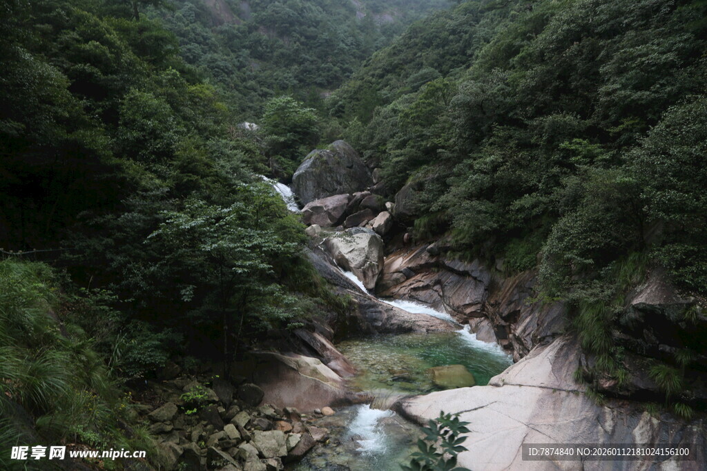 山间溪流穿林而过
