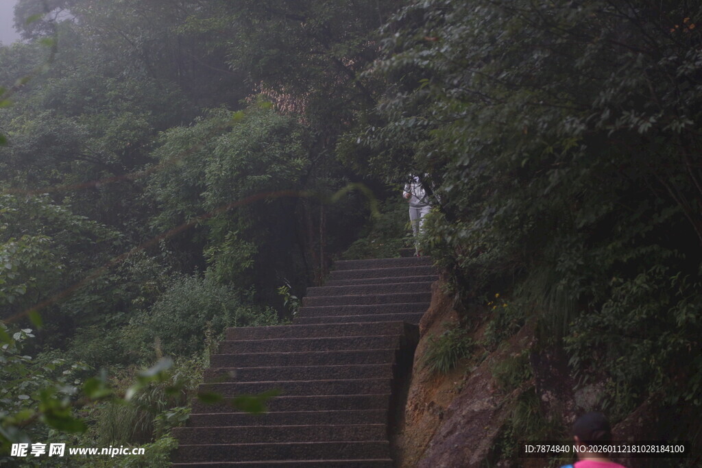 雾中幽径 山林石阶景致