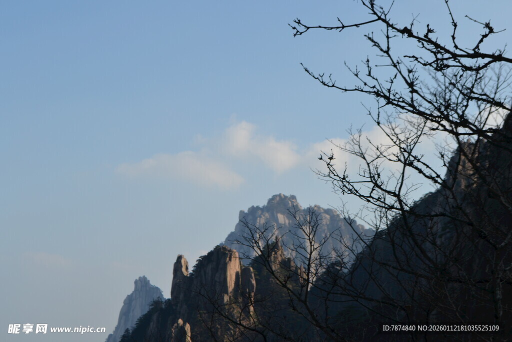 山巅枯树与壮美山峦