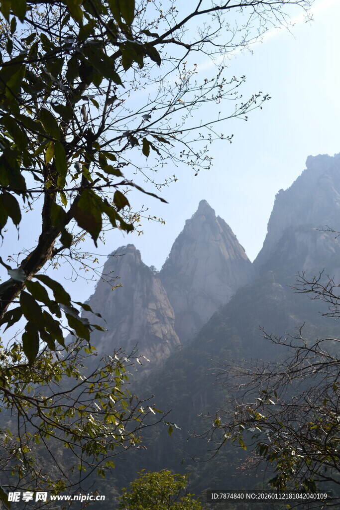 秀丽山峰与繁茂枝叶景观