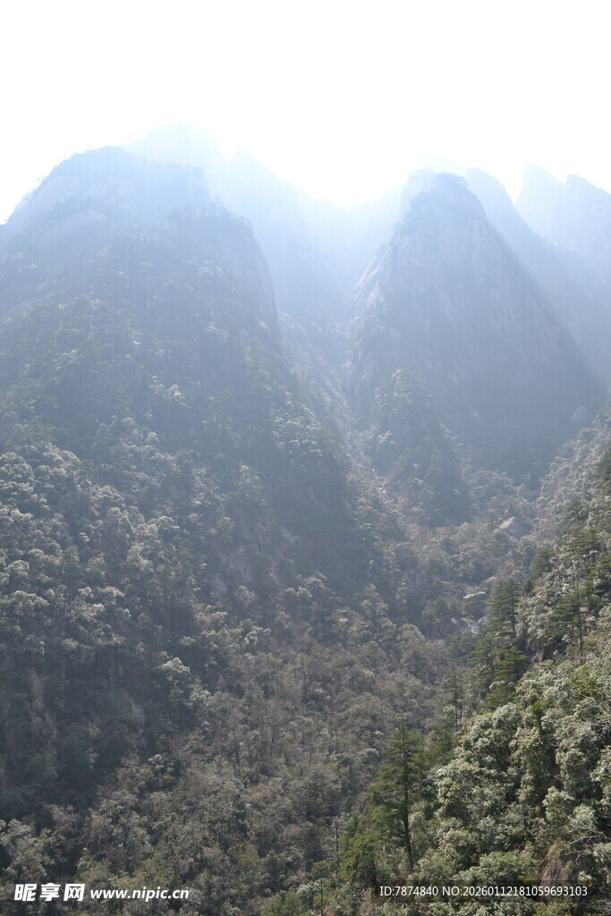 山间晨景 绿意盎然