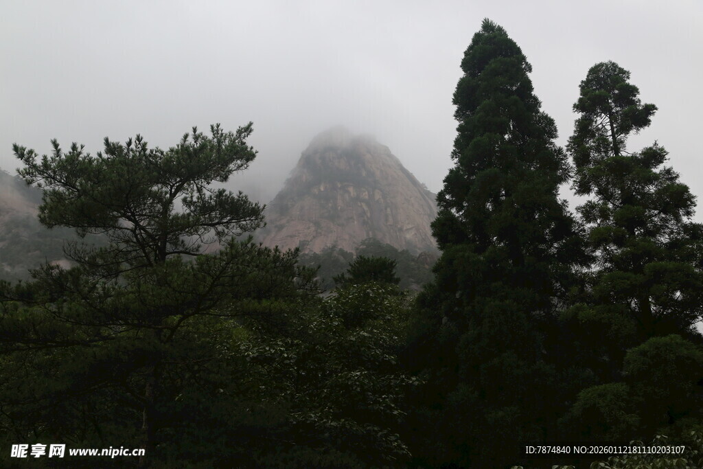 云雾缭绕中的山林景致