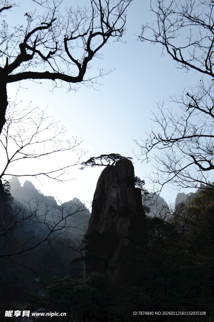 奇峰傲立的山林景观