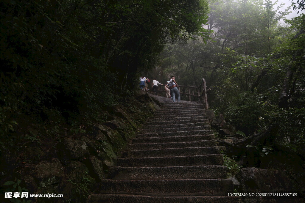 山林间的石阶徒步场景