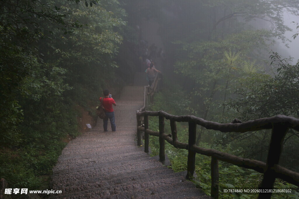 雾中漫步的林间栈道