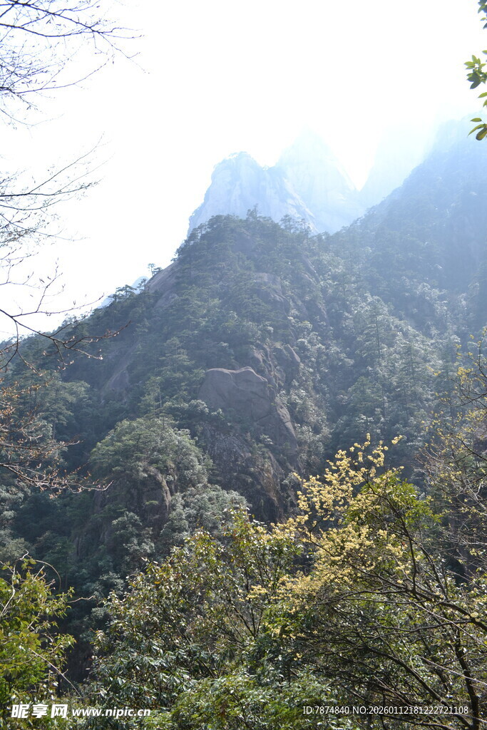 青山葱郁的秀丽山景
