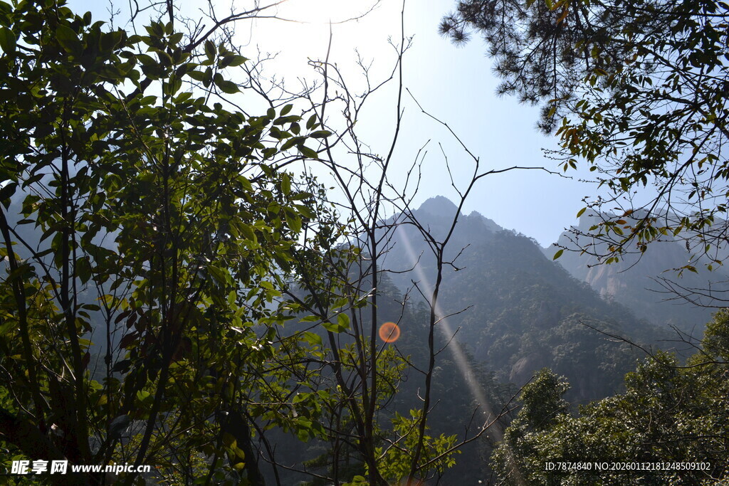 山林间的阳光穿透景象