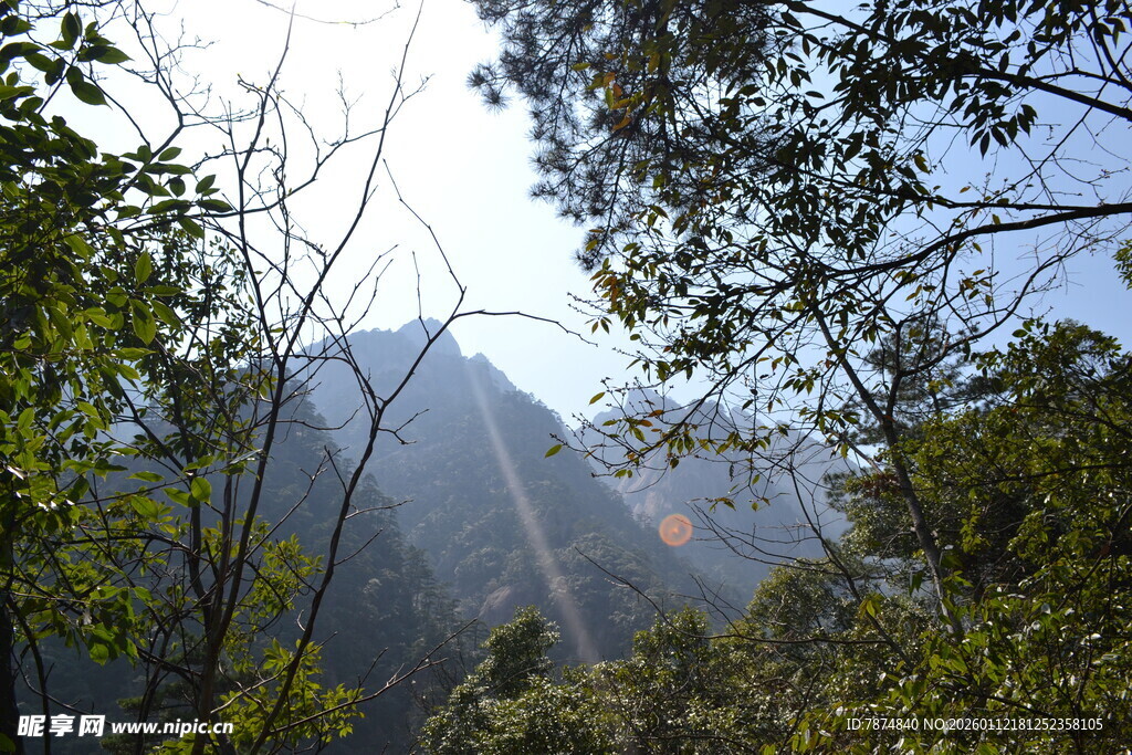 山林间的阳光穿透景象