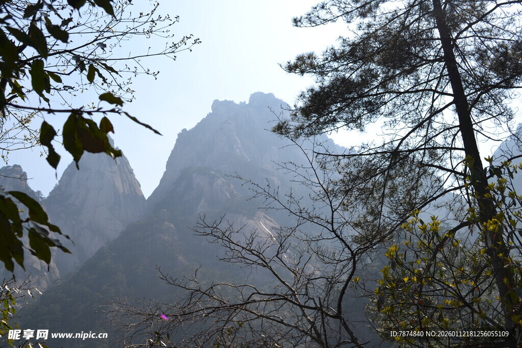 山间巍峨奇峰与树木景观