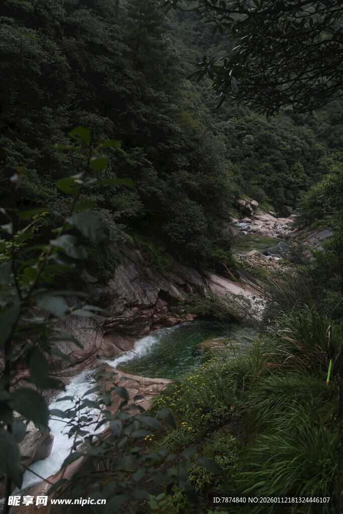 山间溪流 绿意盎然的景致
