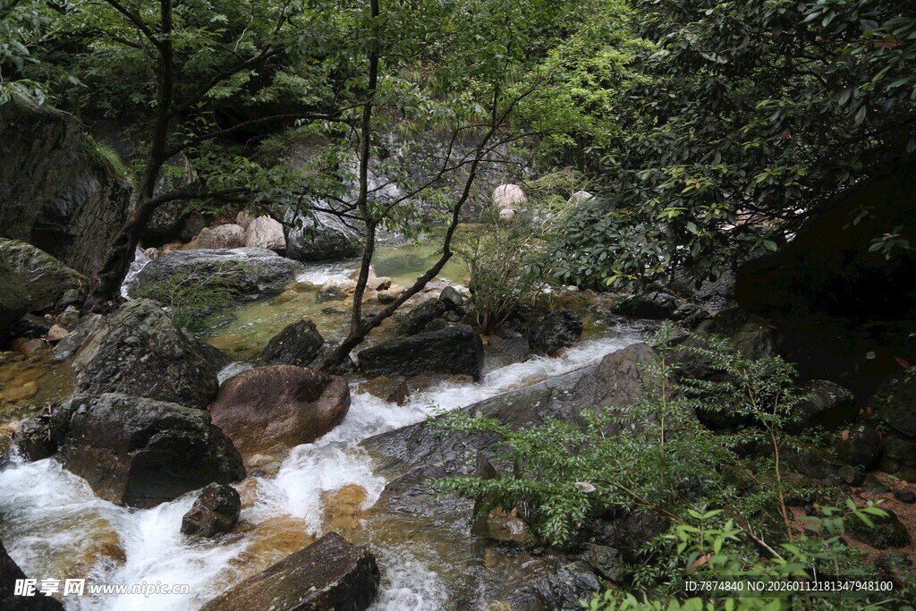 山间溪流潺潺 绿意盎然