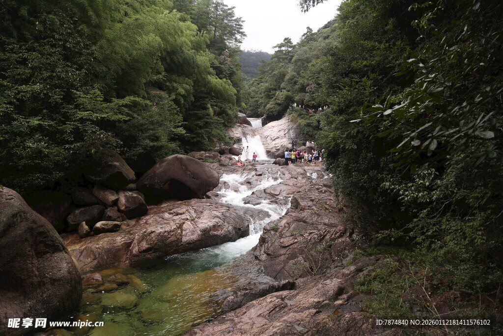 山间溪流穿林而过