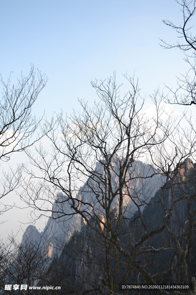 山峦与枯树的冬日景致