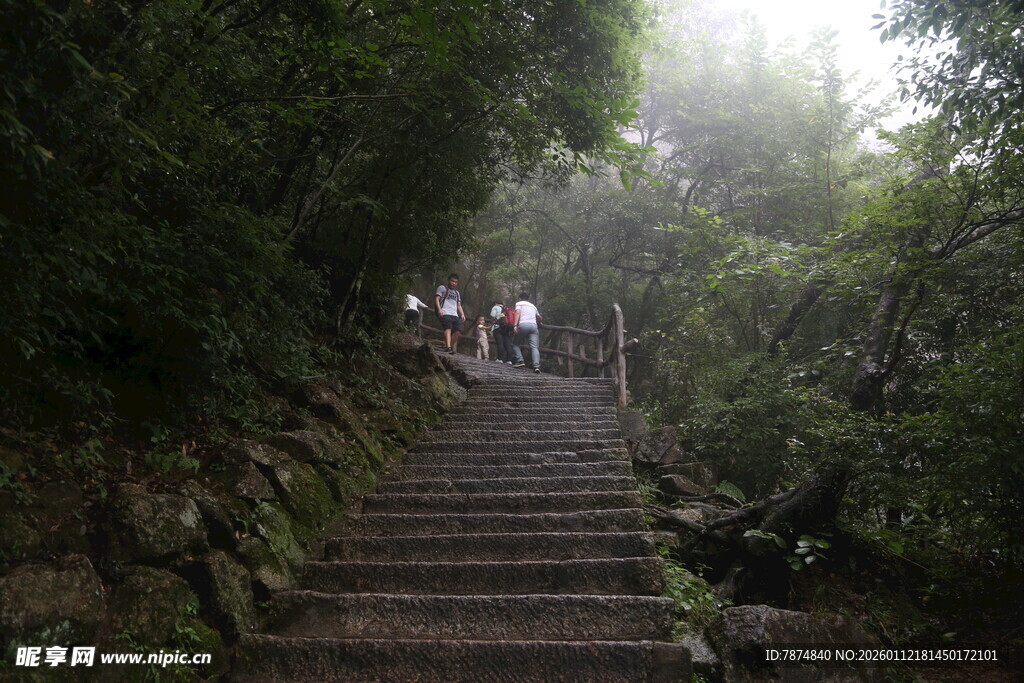 山林间的雾中石阶步道