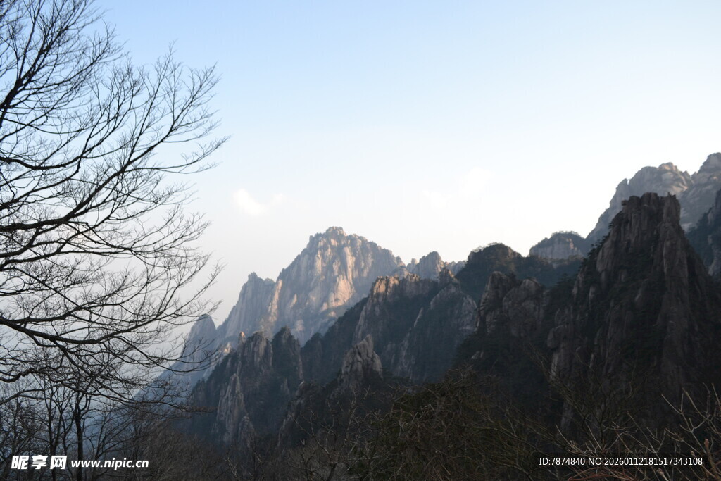 巍峨群山与枯树景观