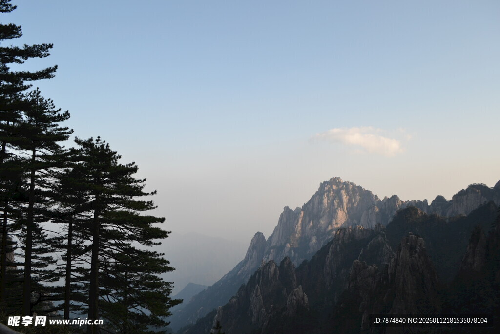 巍峨山峰与挺拔松树景观