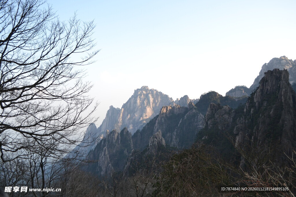 巍峨群山与枯树景观