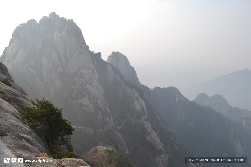 巍峨山峰上的孤树
