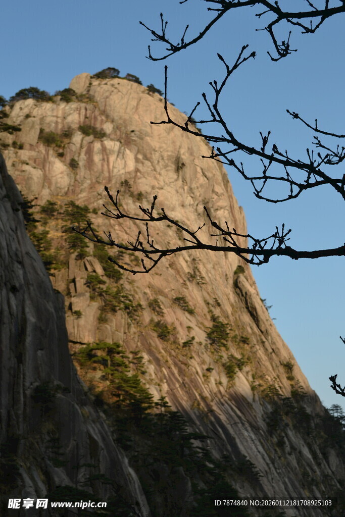 巍峨山峰与枝头剪影