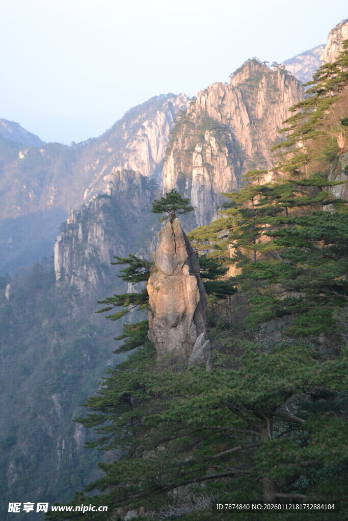 峻岭松影 山间壮丽景致