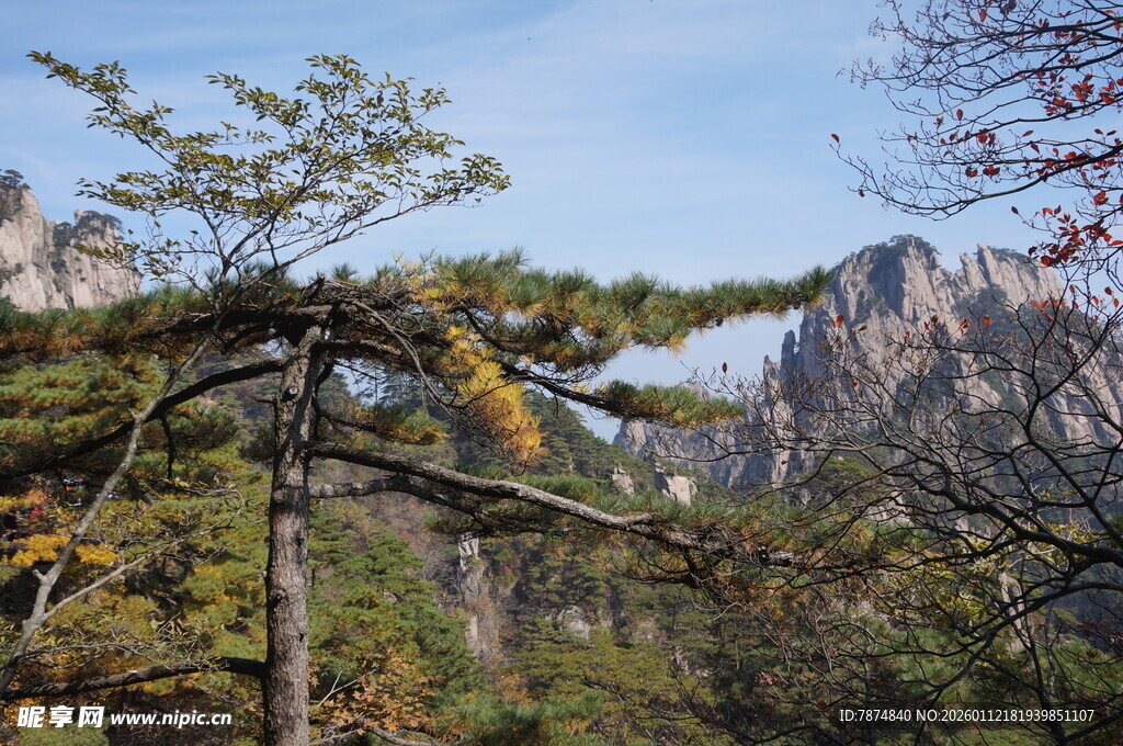 山林中的树木与远处山峦