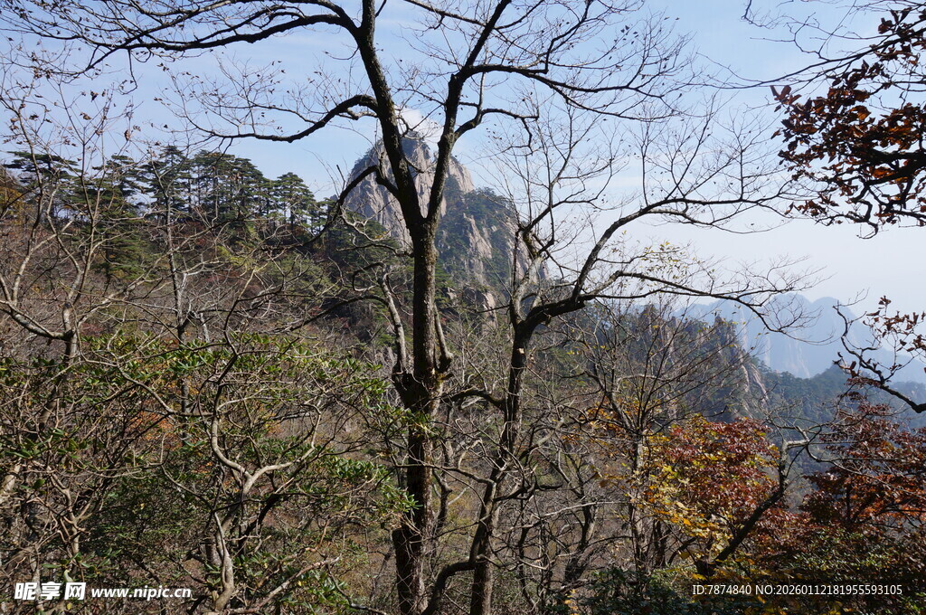 秋日山林中的嶙峋怪石