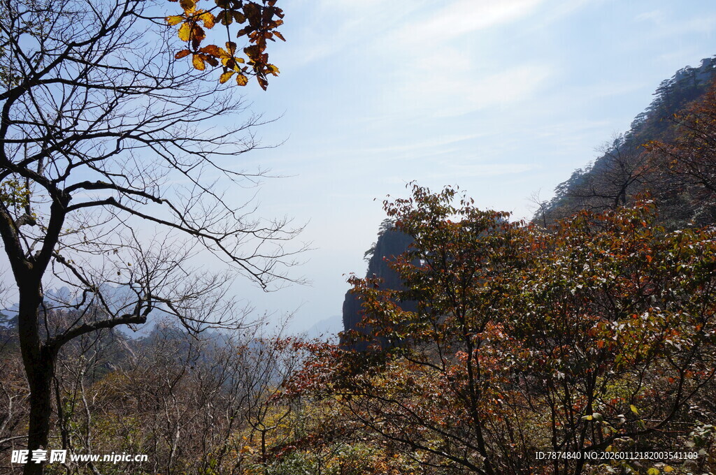 秋日山林景色