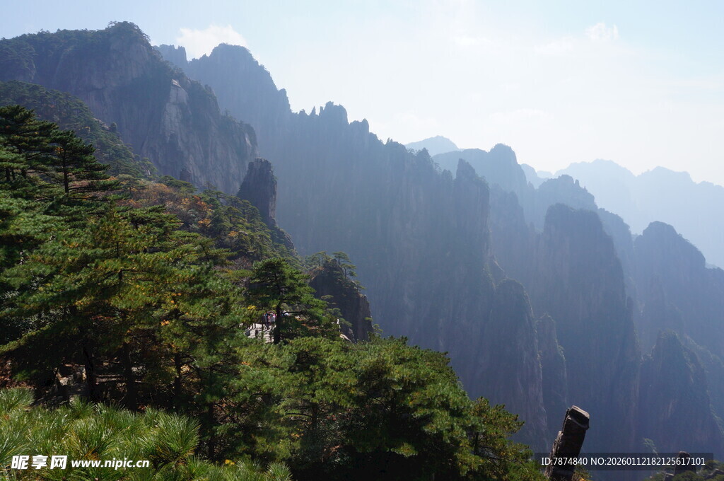 壮丽山景 绿意点缀