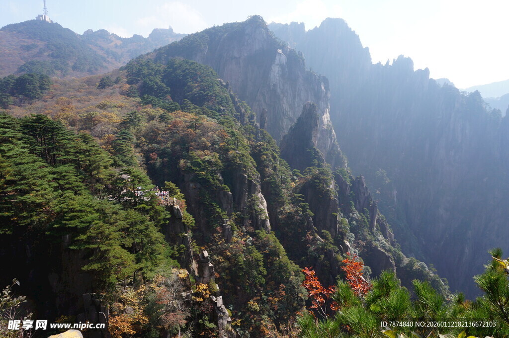 壮丽山景 绿意盎然的峰峦