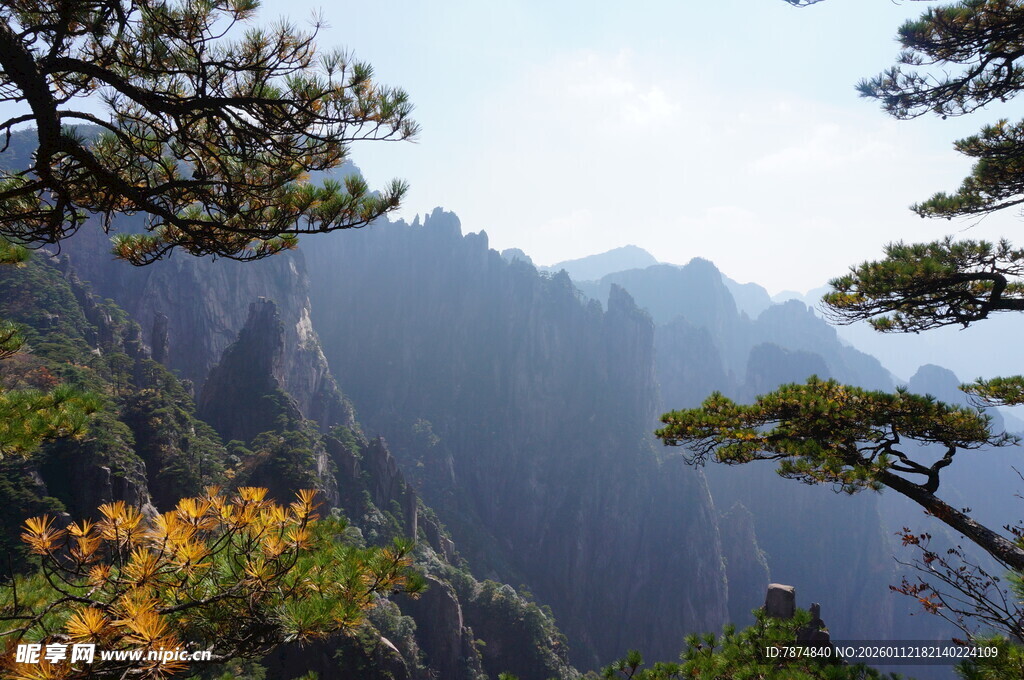 黄山秀丽山景与奇松