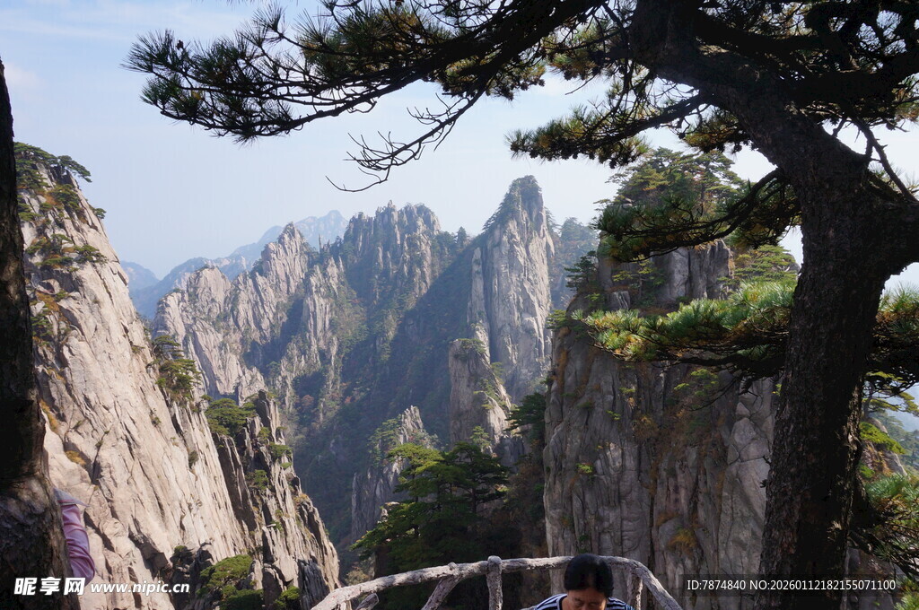 黄山奇峰与苍松景观