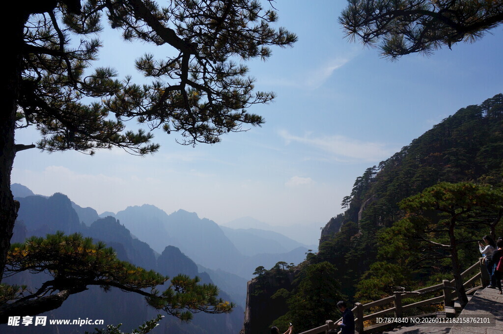 山间美景 松立栈道旁