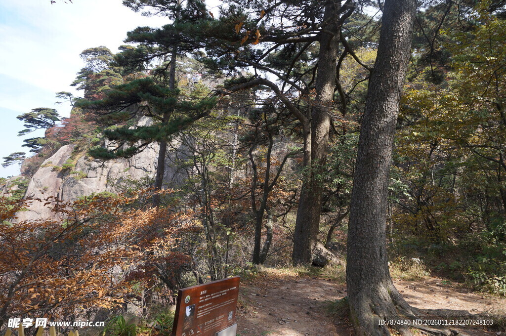 山林间的幽静小径