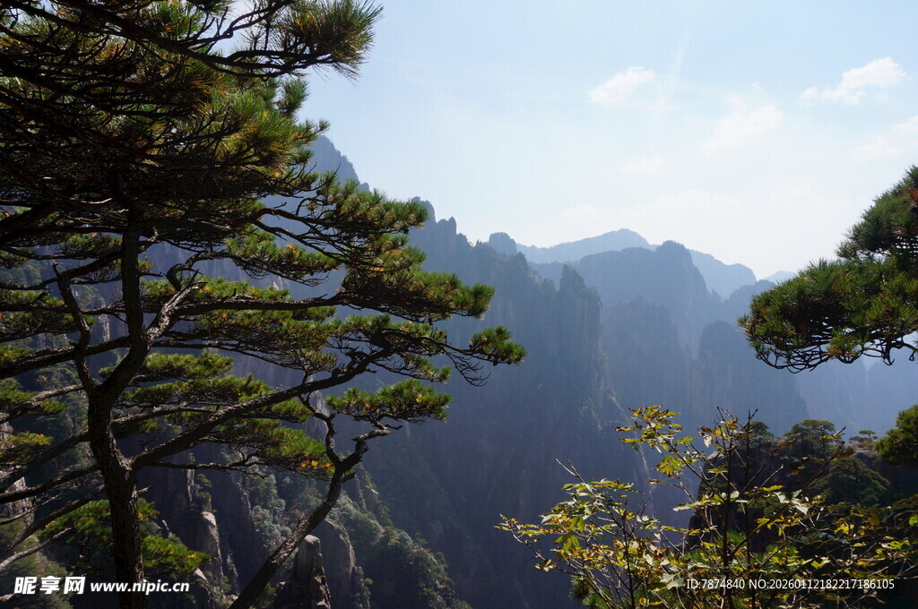 山间松影伴巍峨山峦