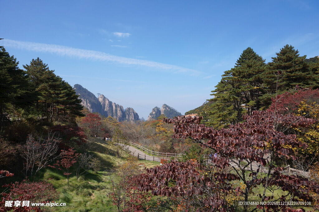 山间秋景 多彩林木映蓝天