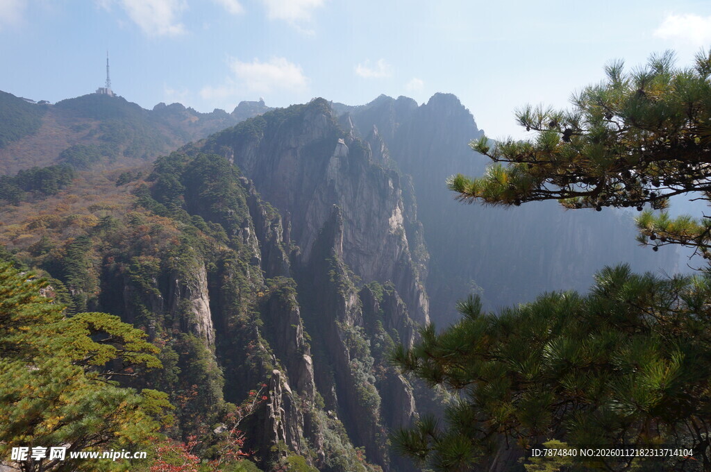 壮丽山景与挺拔青松