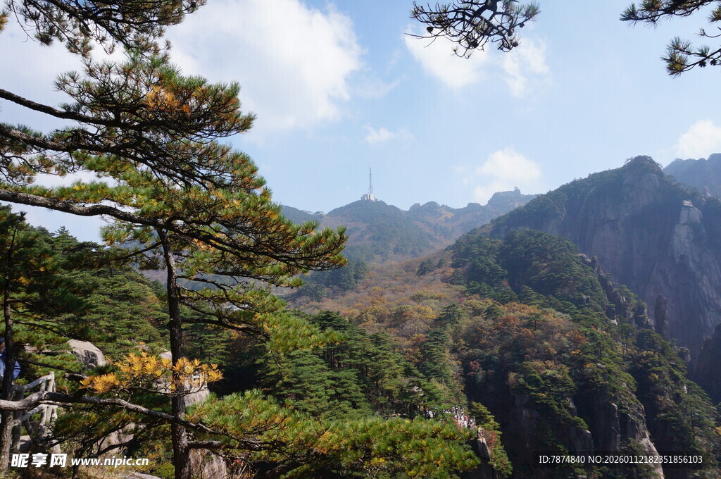 壮美山景与苍松