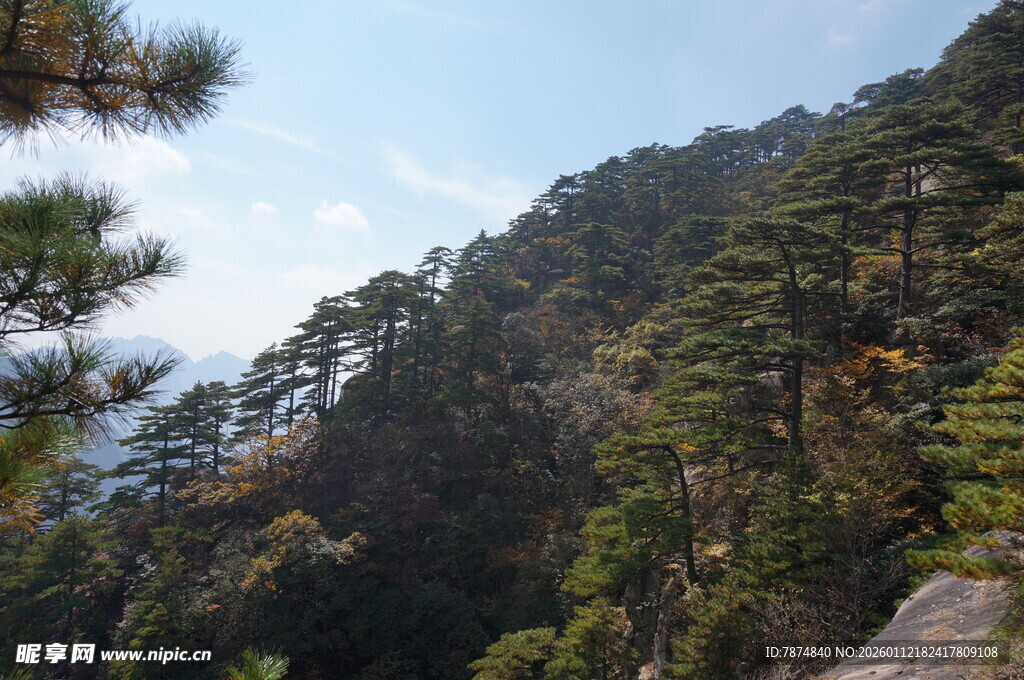 山林葱郁风景秀丽